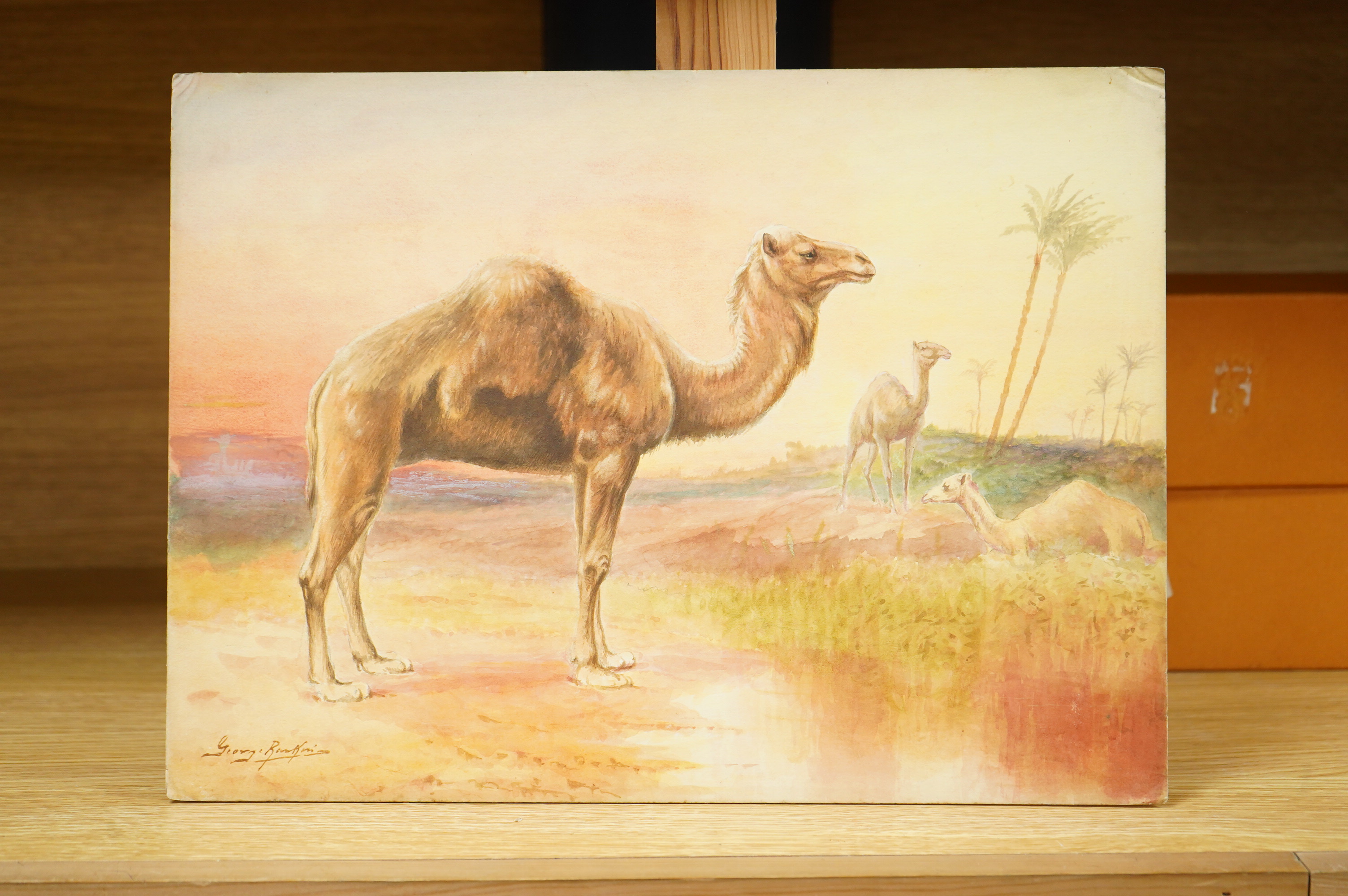 George James Rankin (1864-1937), a set of four original watercolours for postcard designs, Wildlife comprising camels, zebras, elephants and giraffes, each signed, unframed, largest 27 x 37cm